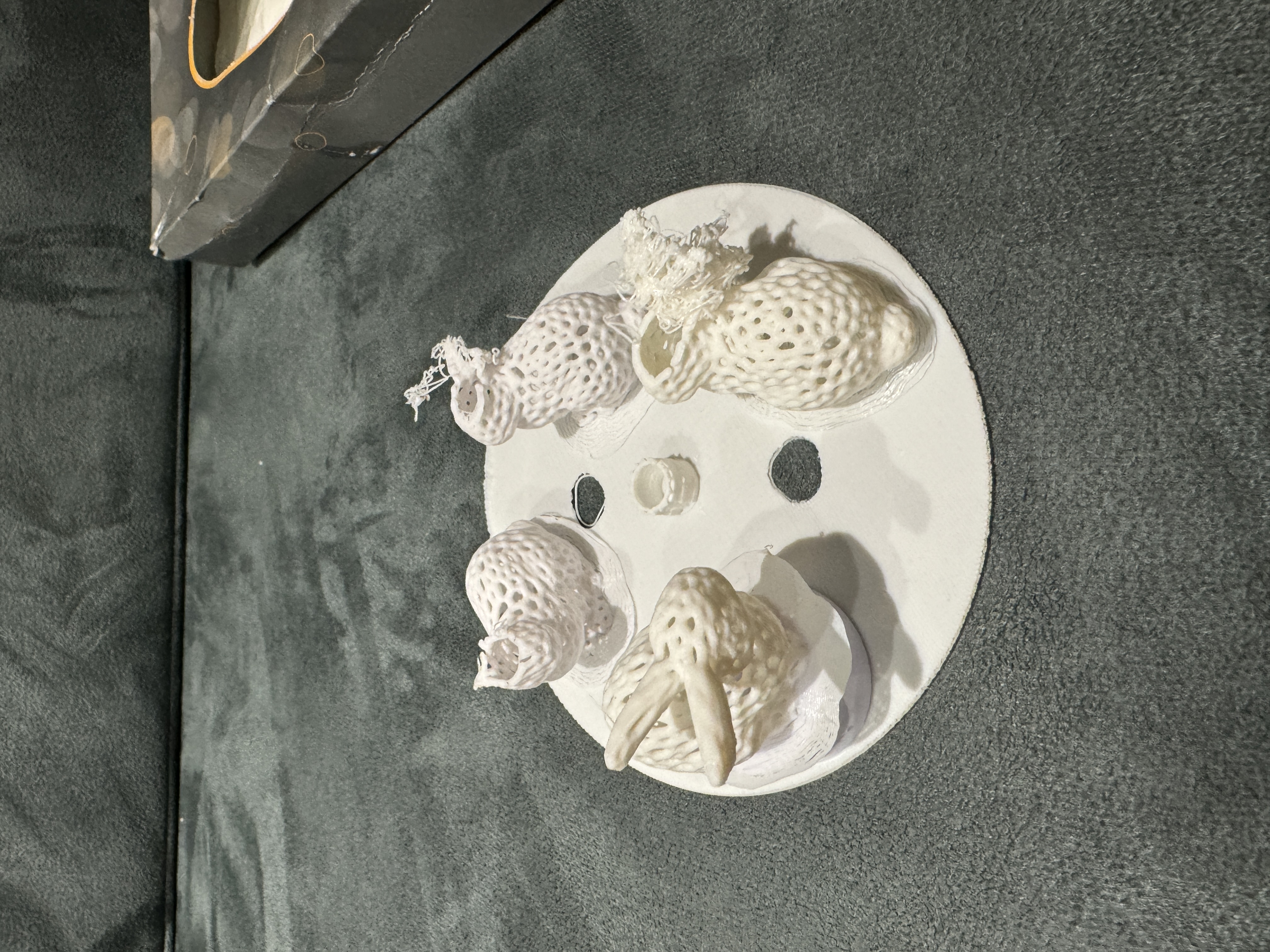 Sipi shell namak dani set on a walima table